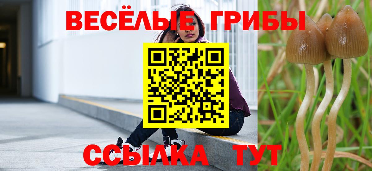 Галлюциногенные грибы ЛСД  купить наркоту  Вход с VPN  Тихвин  Псилоцибиновые грибы Psilocybe 
